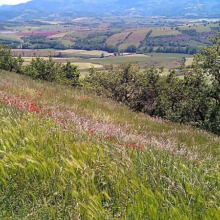 Domaine Du Rougier