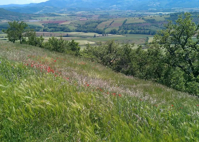 Ξενοδοχείο Domaine Du Rougier Camarès